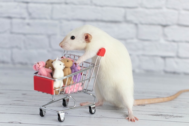 Un piccolo topo bianco carino accanto al carrello della spesa è pieno di orsacchiotti multicolori. Fare la spesa al mercato. Acquisto di regali per compleanni e feste.