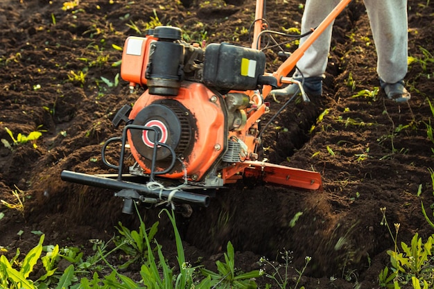 Un piccolo trattore agricolo ara il terreno il lavoro di un trattamento del terreno del trattore con guida da terra per la semina