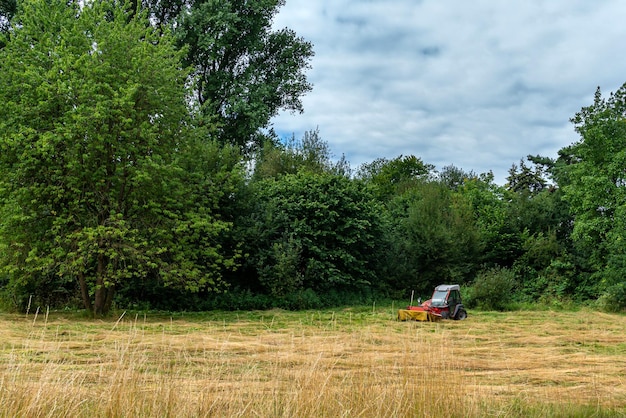 Un piccolo trattore falcia l'erba ai margini della foresta