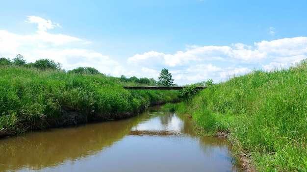 Un piccolo vecchio ponte di cemento su uno stretto fiume poco profondo in un campo verde.