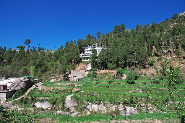 Un piccolo villaggio vicino a Mingora nella valle di Swat dell'Himalaya in Pakistan