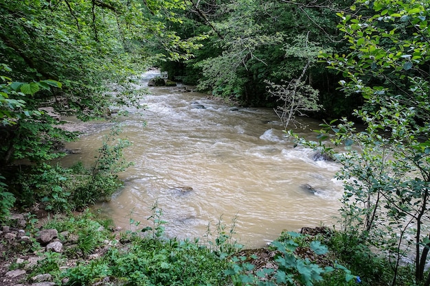 Un pittoresco fiume nel territorio di Krasnodar vicino a Mezmai 2021