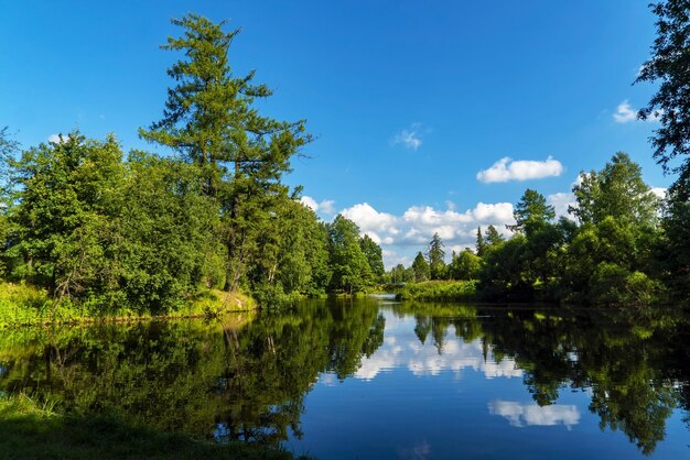 Un pittoresco paesaggio estivo sulla riva del lago Priyutino Vsevolozhsk regione di Leningrado