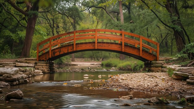 Un pittoresco ponte di legno che attraversa un ruscello che balbetta in una tranquilla foresta