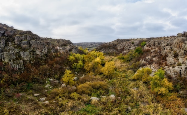 Un pittoresco ruscello scorre nell'Aktovsky Canyon, circondato da alberi autunnali e grandi massi di pietra