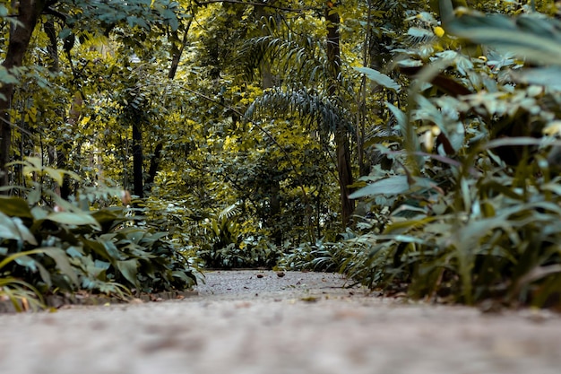 Un po' di strada per andare nel parco