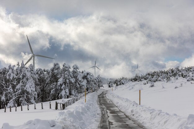 Un pomeriggio in montagna con tanta neve