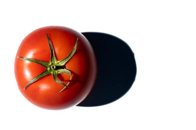 Un pomodoro rosso su sfondo bianco brillante