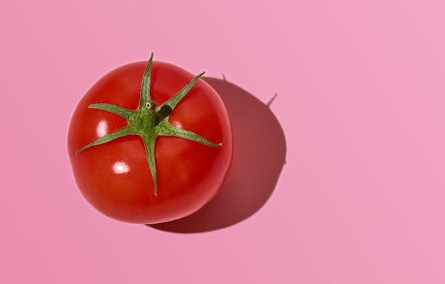 Un pomodoro sano maturo rosso si trova su uno sfondo rosa Ombra profonda di luce dura