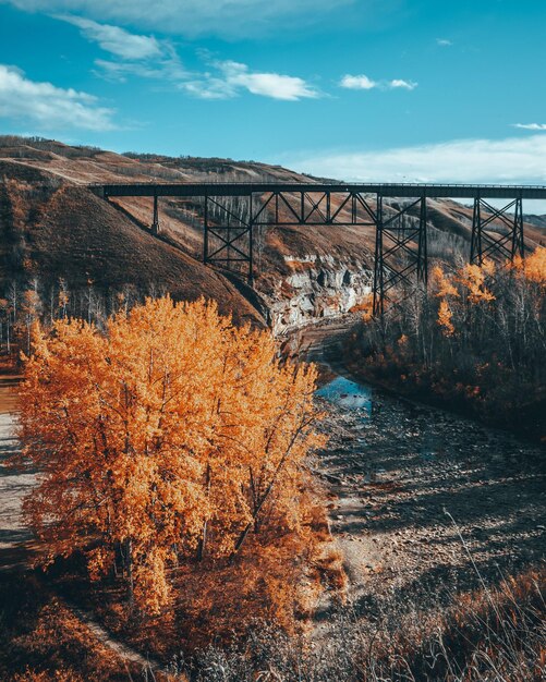 Un ponte in autunno