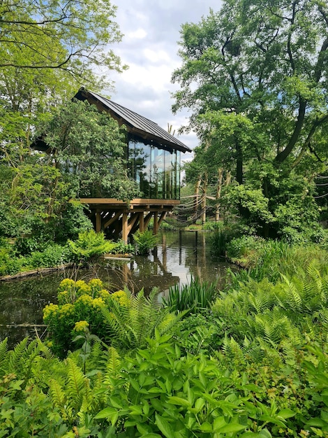 Un ponte nel bosco con una casa sullo sfondo
