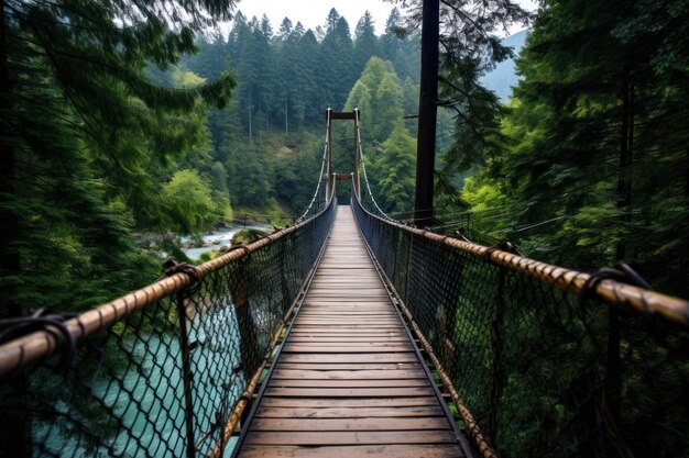 Un ponte sospeso su un fiume in una foresta