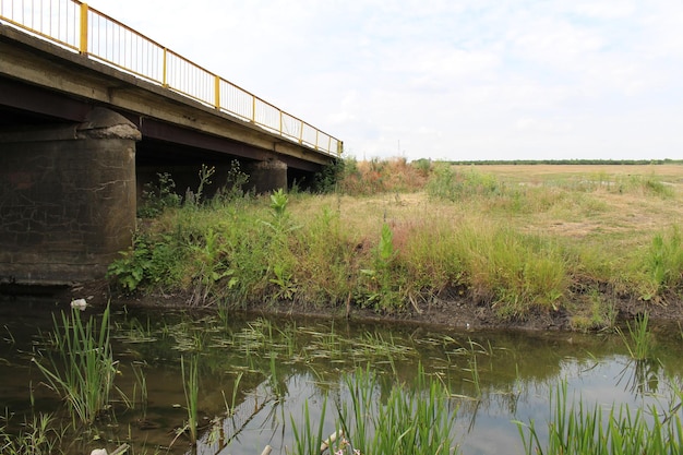 Un ponte su un ruscello