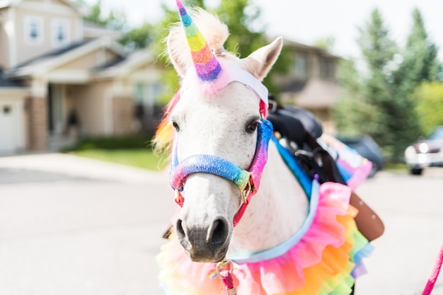 Un pony bianco decorato come un unicorno alla festa di compleanno della bambina.