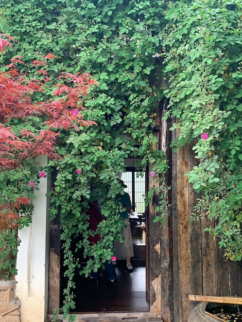 Un portale con un albero rosso sullo sfondo