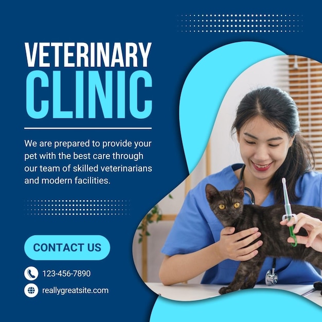 un poster per una clinica veterinaria con una donna che tiene un gatto