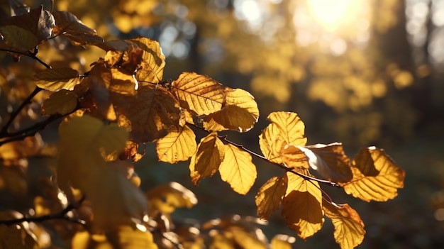 Un primo piano delle foglie d'autunno con il sole che splende su di loro