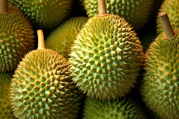 Un primo piano di frutta durian con la parola durian su di esso