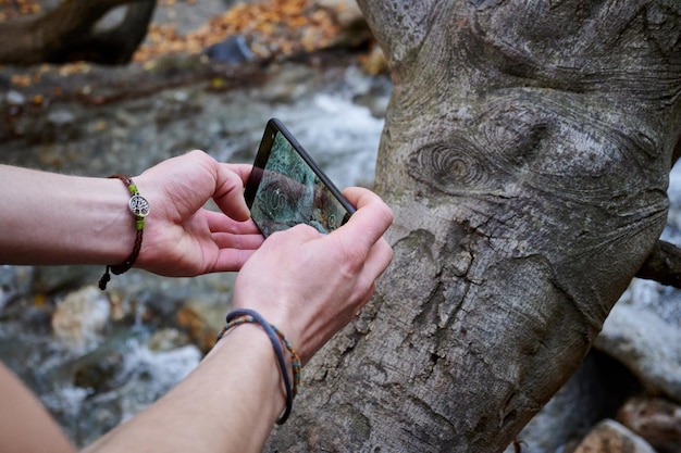 Un primo piano di mani maschili che scattano una foto di un tronco d'albero nella foresta con un telefono cellulare