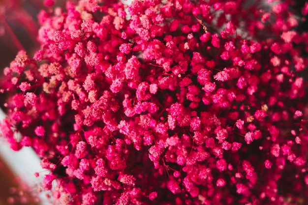 Un primo piano di piccoli fiori rosa