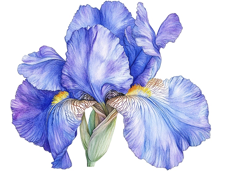 Foto un primo piano di un fiore