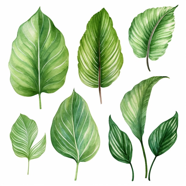 Un primo piano di un mazzo di foglie verdi su uno sfondo bianco ai generativo