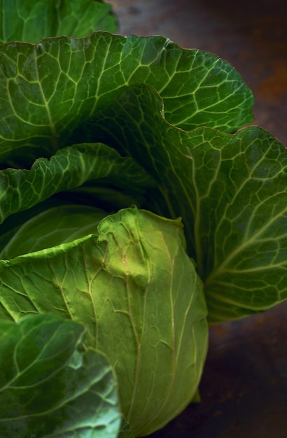 Un primo piano di un ortaggio a foglia verde