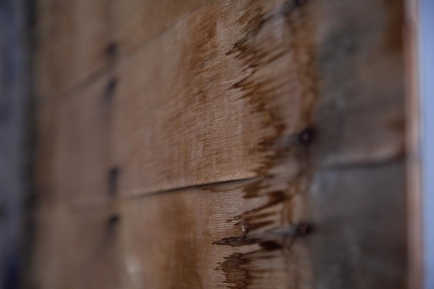 Un primo piano di una parete in legno con una vite.