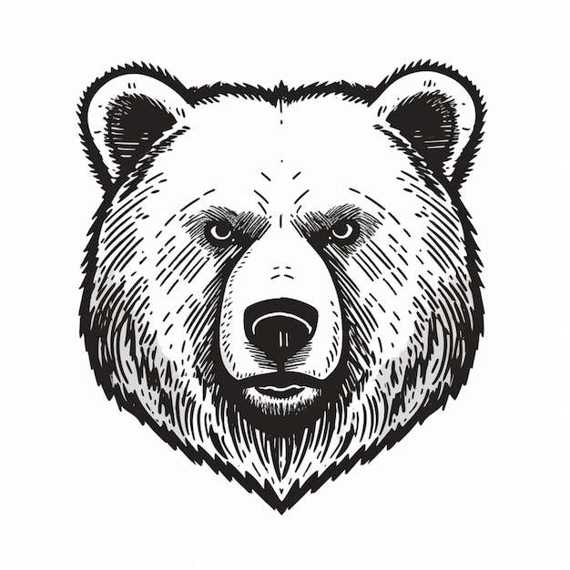 Un primo piano di una testa di orsi con uno sfondo bianco ai generativo