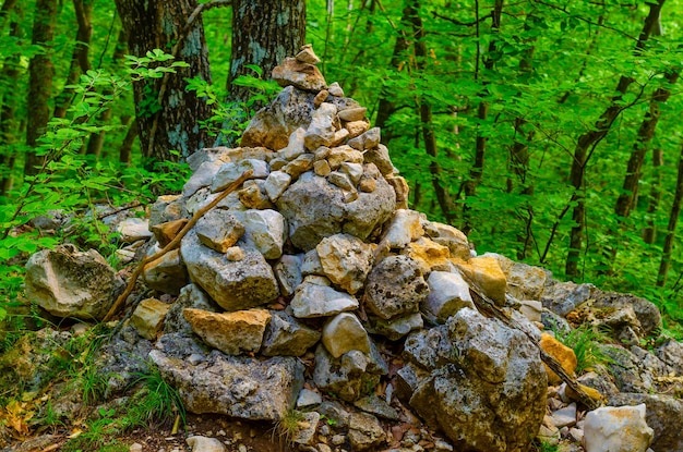 Un punto di riferimento costituito da un mucchio di pietre lasciate dai turisti nella foresta.