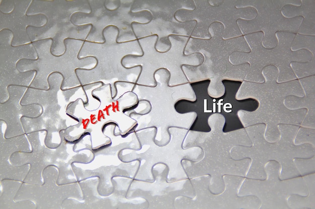 Un puzzle con sopra la parola morte e vita