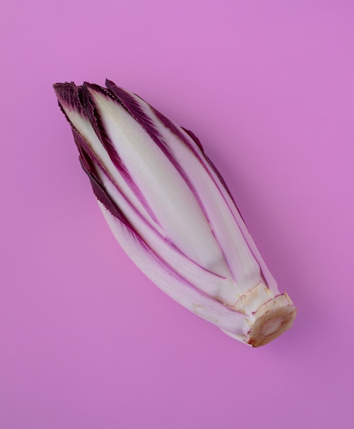 Un radicchio rosso fresco su fondo rosa