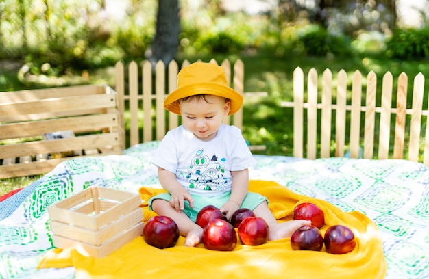 Un ragazzino che si diverte a fare un picnic con un cesto di mele fresche un ragazzino seduto su una coperta con le mele