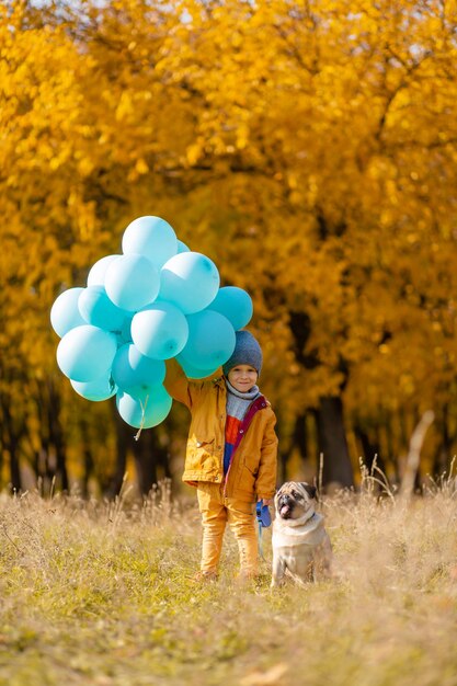 Un ragazzino con una bracciata di palloncini e un cane carlino cammina nel parco autunnale. Alberi gialli e palline blu. Bambino alla moda. Infanzia felice.