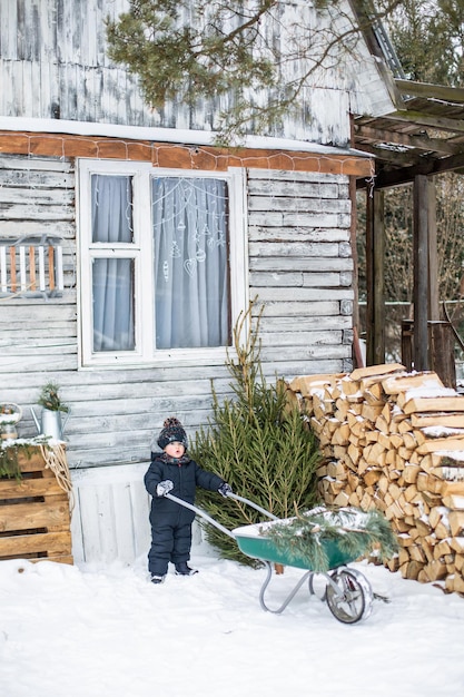 Un ragazzino porta un albero di Natale a casa su una slitta