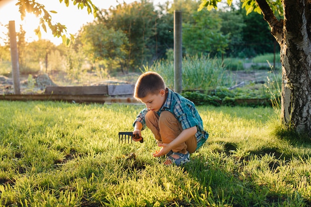 Un ragazzino sveglio sta piantando i germogli nel giardino al tramonto. Giardinaggio e agricoltura.