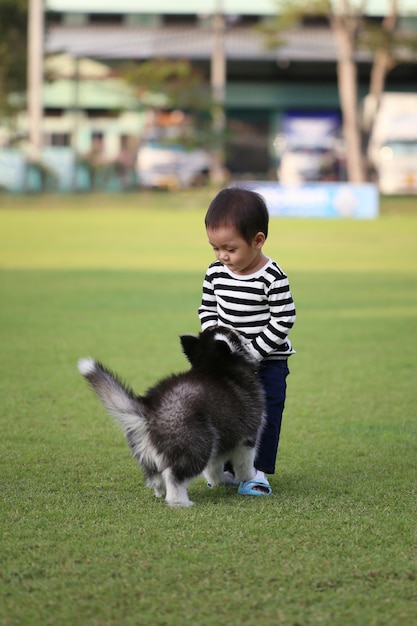 Un ragazzo asiatico sta giocando con un cucciolo siberiano.