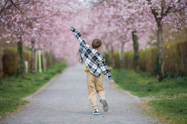 Un ragazzo cammina lungo una strada con fiori di ciliegio rosa sullo sfondo.