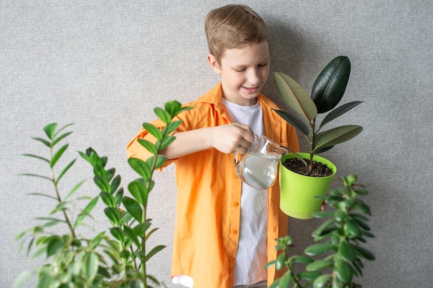 Un ragazzo carino in una camicia sta studiando piante verdi interne che si prendono cura dei fiori Innaffiare un ficus in una pentola