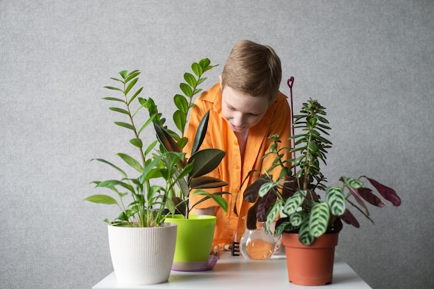 Un ragazzo carino sta studiando piante verdi da interno che si prendono cura dei fiori