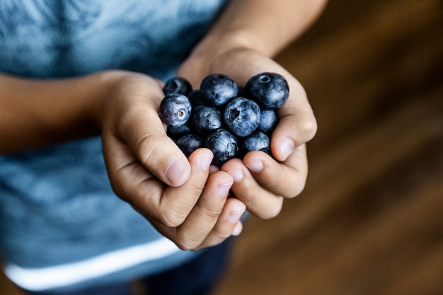 Un ragazzo che tiene mirtilli freschi naturali, raccolto estivo e cibo sano