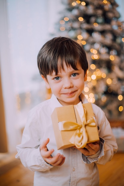 Un ragazzo con un regalo di Capodanno sotto lo stile di vita dell'albero. Capodanno e Natale. Decorazione festiva.