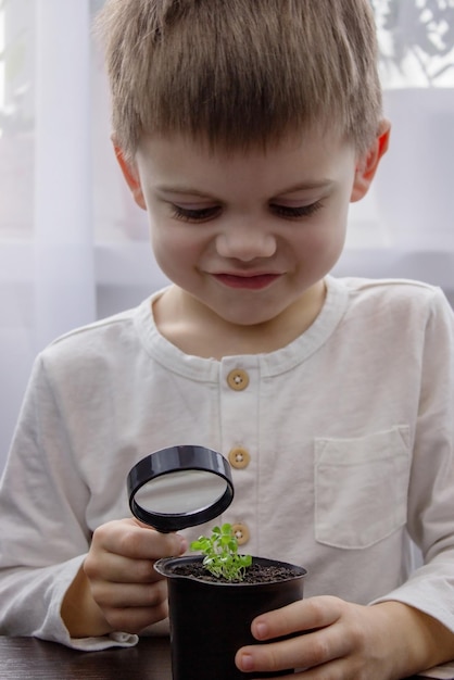 Un ragazzo guarda attraverso una lente di ingrandimento un fiore che cresce in un vaso di fiori