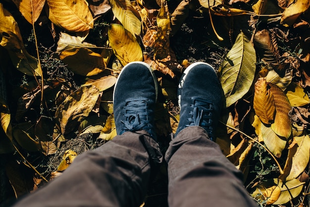 Un ragazzo in pantaloni grigi e scarpe scamosciate blu è in piedi per terra coperto di foglie autunnali.