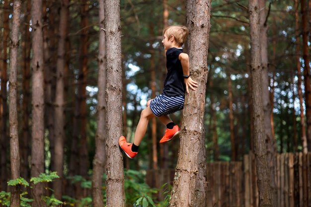 Un ragazzo nella foresta si è arrampicato sugli alberi tra due pini