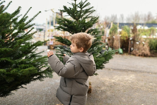 Un ragazzo sceglie un albero normanno di Natale in un negozio