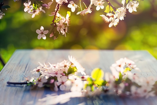 Un ramo di fiori di ciliegio con sopra la parola primavera