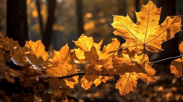Un ramo di foglie gialle con sopra la parola autunno
