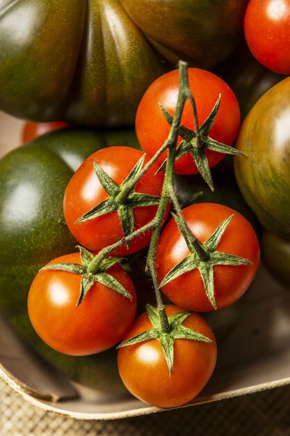 Un ramo di pomodorini in una natura morta di deliziosi pomodori maturi di tipo dolce su tela di iuta