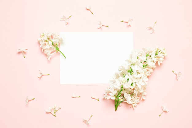 Un ramoscello di lillà si trova su uno sfondo di carta rosa.